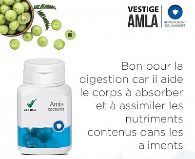 Vestige AMLA