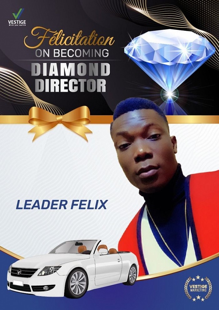 DIRECTEUR DIAMANT